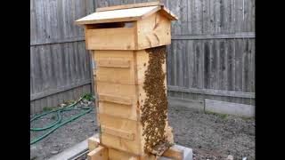японский улей или  улей Варрэ  Безрамочное содержание пчёл | Пчеловодство выходного дня