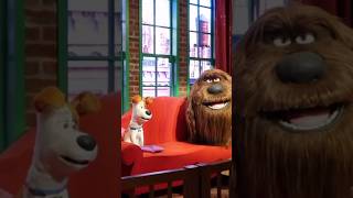 The Secret Life Of Pets Universal Studios