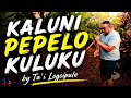 Kaluni Pepelo Kuluku Ta I Logoipule Original Song 2026 