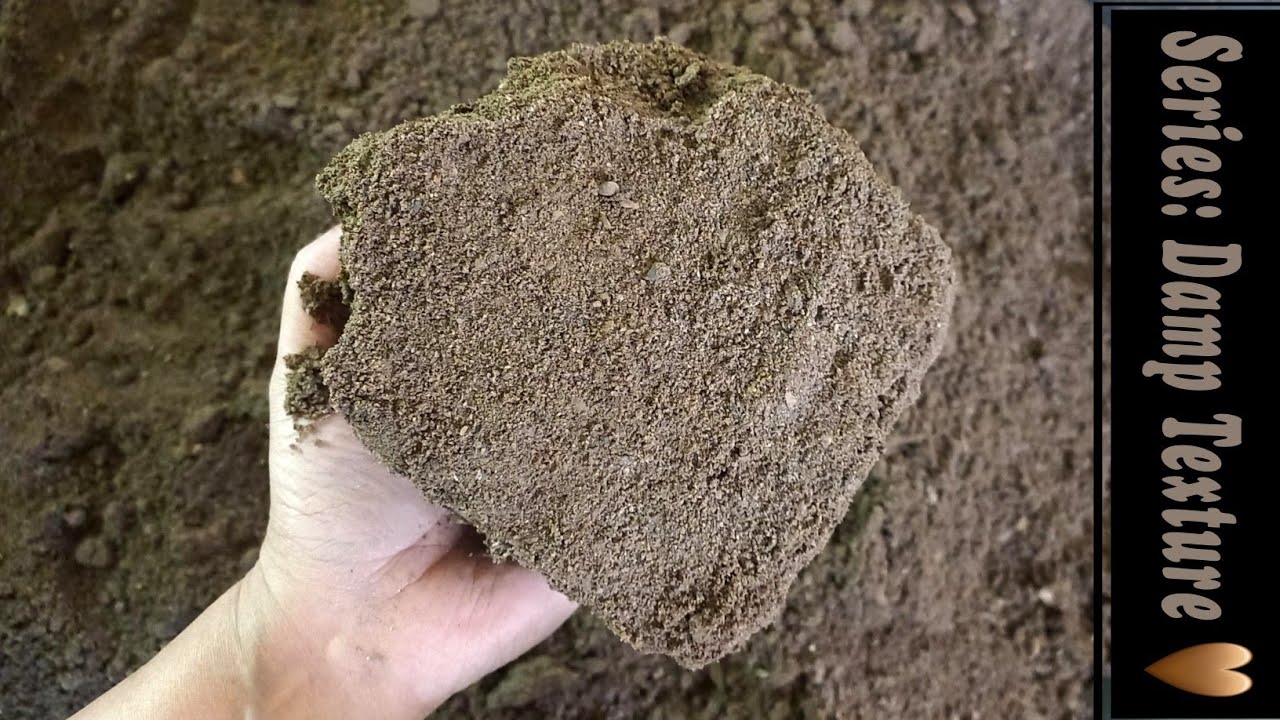 Damp Texture Series: Gritty different textures Reforms crumbling - YouTube
