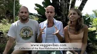 Chef Dr. Wilco Hermans
Friend, Chef, Bald Brother and PhD of Natural Health and Nutrition - Wilco Hermans - has left Farm of LIfe (www.farmoflifecr.com) to pursue his dreams in Europe. In this much overdue video, we discuss he many talents as Chef and Doctor, reflect on his tenure at Farm of Life as our Head Chef, share his recipes and give a heartfelt farewell. Apologies for the poor sound quality. If this werent such an important interview, then I would have trashed it, but I hardly have the heart for that. Chef Dr. Wilco Hermans