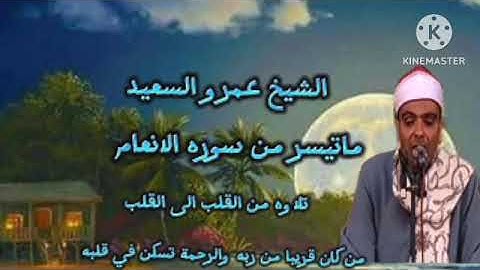 الشيخ عمرو السعيد القارئ بجمهورية مصر العربية ما تيسر من سوره الانعام بصوت رائع وجميل جدا