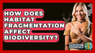 How Does Habitat Fragmentation Affect Biodiversity? - Ecosystem Essentials