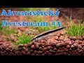 Akvaristický livestream! #3