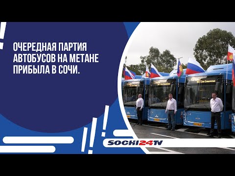 Очередная партия автобусов на метане прибыла в Сочи.