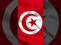 TUNISIA تونس TUNIS TUNISIE Waving Flag 1 Hour 4K