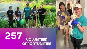 2024 Impact Report Promo