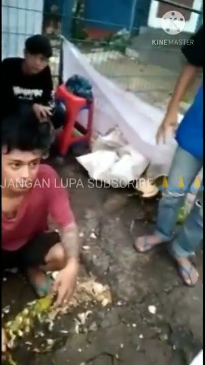 XTC DATANGIN BRIGEZ || TAPI XTC NYA MALAH KOCAR KACIR !!!
