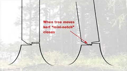 Classic Barber Chair Tree Falling Mistakes