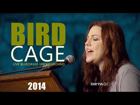 Amy Lee feat. Dave Eggar - Bird Cage (Bluegrass Underground) HD