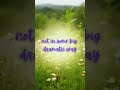 this started as a few comments in my Substack chat… and turned into this 🌸 | Link in description