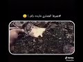 اذا الشغله ب الفلوس العمله احنا نطبعها😎😎😎🇸🇾🇸🇾🇮🇶