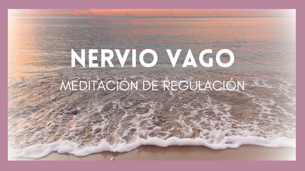 Regulación Diaria del NERVIO VAGO para una Salud Integral