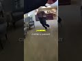Chainsaw-wielding maniac goes off inside an elder care facility 🤐