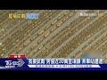 「我要試戴」男偷近30萬金項鍊 奔車站遭逮｜TVBS新聞 @TVBSNEWS01