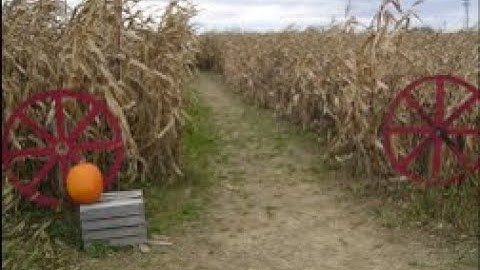 Ohio AgrAbility: Agritourism and accessible events