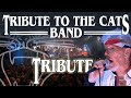 Tribute to the cats band our tribute to the band with kees plat