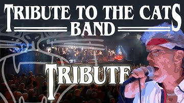Tribute to the Cats Band (Our Tribute to the band with Kees Plat)