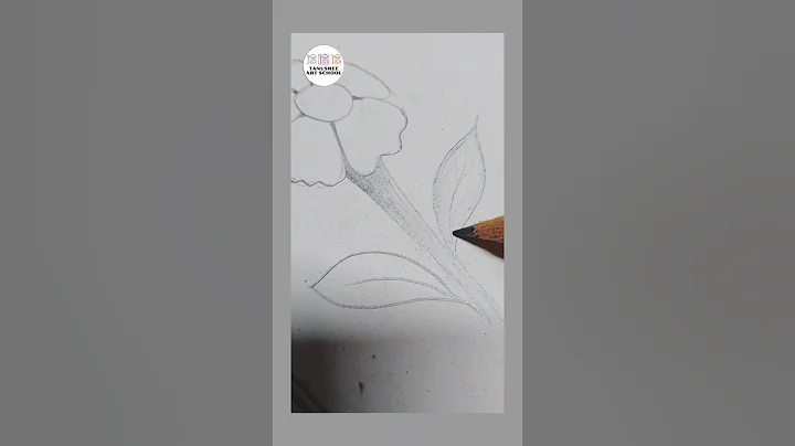 Flower drawing #flowerart #drawing #sketch #shorts #trending #youtubeshorts #viral