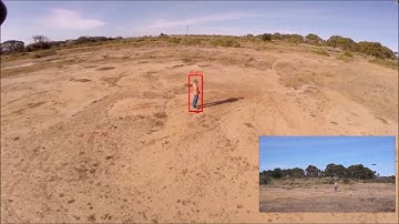 UAV Sensor Fusion with Latent Dynamic Conditional Random Fields in Coronal Plane Estimation 1