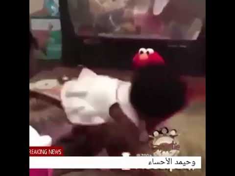وحيمد الحلقة الثالثة