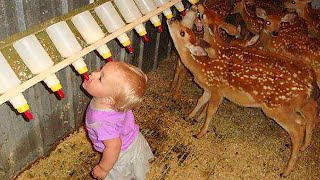 Niños y bebés se encuentran con animales de granja y zoológico por primera vez by DerisA 30,256 views 3 years ago 8 minutes, 20 seconds