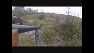 Mazdas Första Rådjur