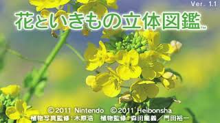 Encyclopedia (Hana to Ikimono Rittai Zukan, Nintendo 3DS)
Encyclopedia (Hana to Ikimono Rittai Zukan, Nintendo 3DS) Encyclopedia (Hana to Ikimono Rittai Zukan, Nintendo 3DS)