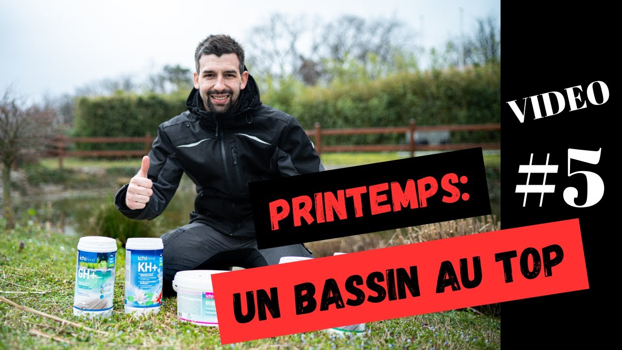 Envii Pond Klear Xtra - Clarificateur Naturel Eau Bassin 100 000 L - Anti-Algues Pour Poissons