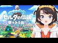 【#生スバル】ゼルダの伝説 夢をみる島やるしゅばああああああああああああああ！！！！：The Legend of Zelda: Link's Awakening【ホロライブ/大空スバル】