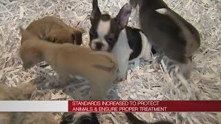 Malloy highlights Connecticut's new pet shop law