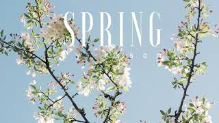 Ikson - Spring (8D Audio)