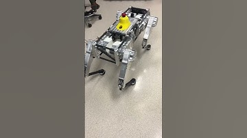 Robot Dog Stands Up