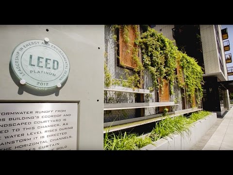 וִידֵאוֹ: חלונות גג של Velux למרכז עסקים עם הסמכת LEED Gold. פרויקט - סדנה של סרגיי ציצין