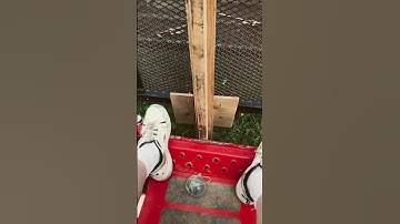 Crash Test 2 #explorephysics #Quantum Spring #SampleroftheMultivere