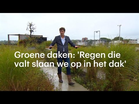 Video: Groen Op Het Dak: Russische Perspectieven