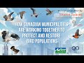 Webinar Replay Celebrating Shared Spaces In Municipalities To Protect Restore Bird Populations Webinar Replay Celebrating Shared Spaces In Municipalities To Protect Restore Bird Populations