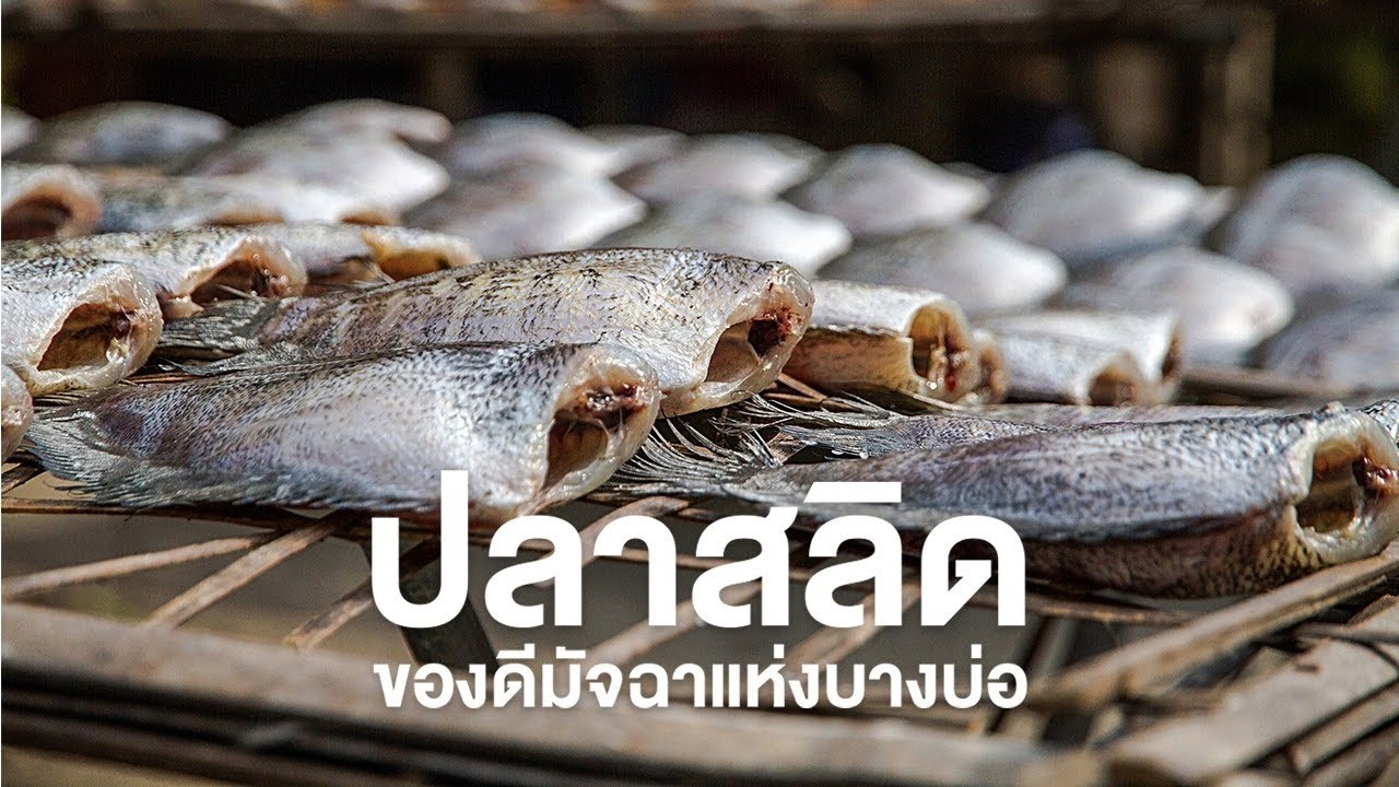 สารคดี ของดีประเทศไทย ตอน ปลาสลิด ของดีมัจฉาแห่งบางบ่อ