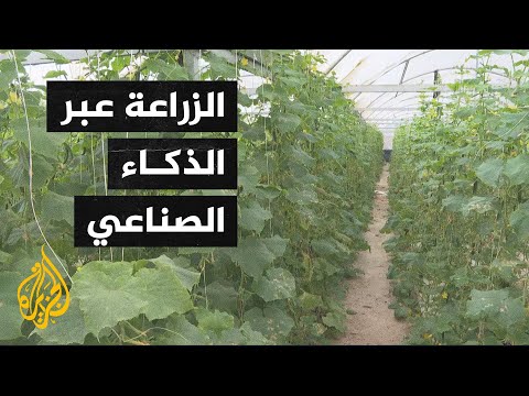 مشروع لاستخدام تقنيات الذكاء الصناعي في المزارع الصحراوية بالأردن