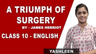 A Triumph Of Surgery with Questions & Answers | Class 10 English | by James Herriot | iWiz Yashleen