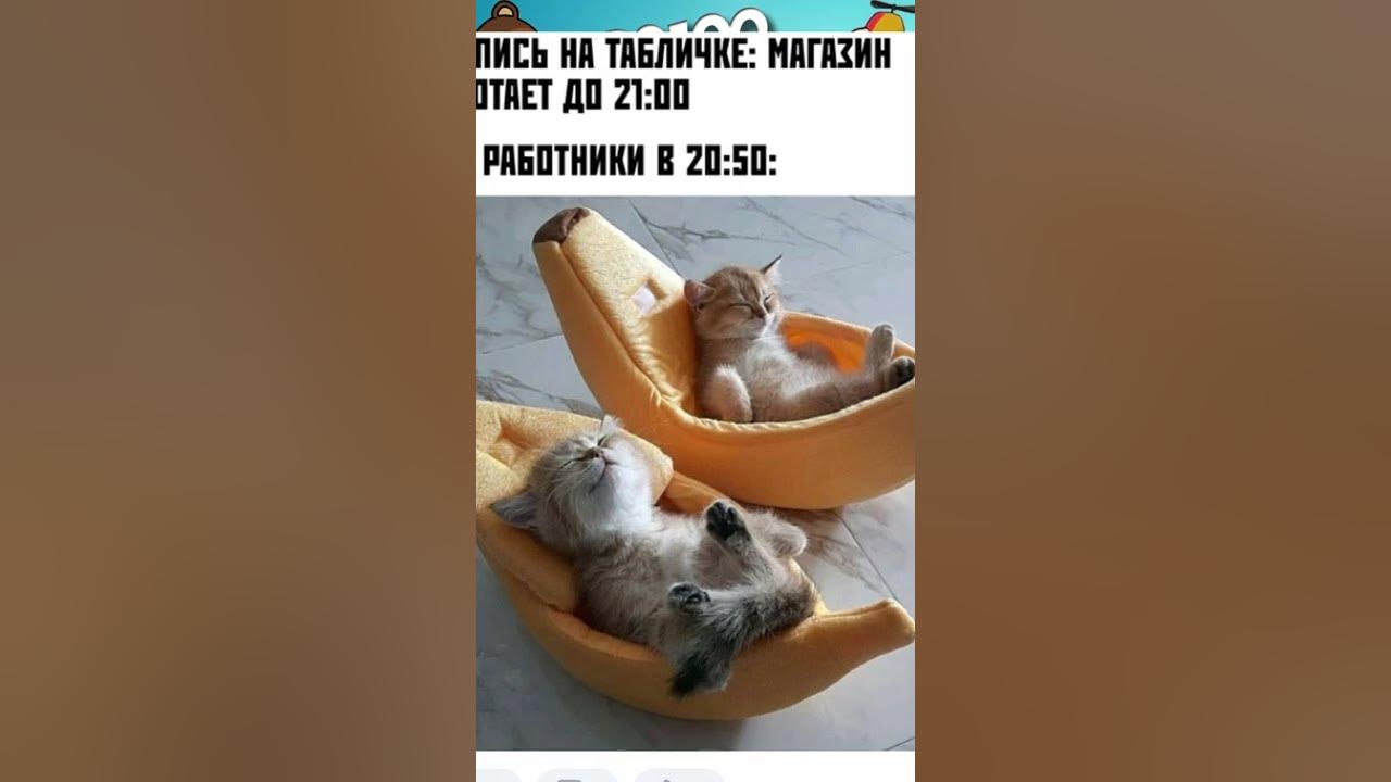 Смотреть мемы смешные видео #приколы #мемы #мемчики #мемы2022 #лютыеприколы #котики #озвучкамемов #мем #мемы