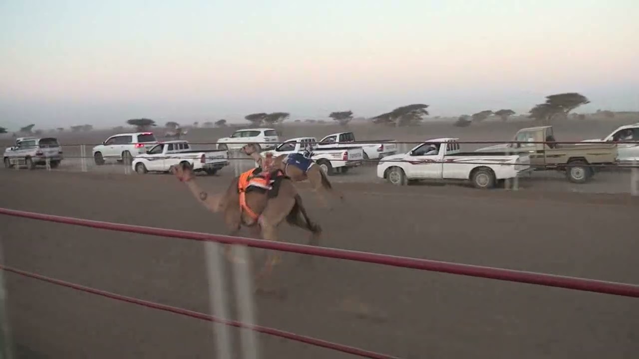 مركاض بديه الشوط الاول