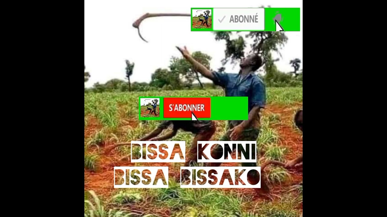 Bissa konni