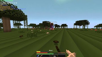 Hacker Report = KnightFighterLP