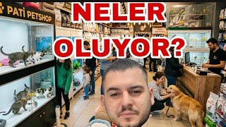 PET SHOPDA NELER OLUYOR