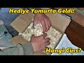 Hediye Yumurtalar Geldi.!/Bakalım Ne Cinsmiş -Efsane!#Tekirdağ#civciv#horoz#tavuk#hindi#ördek