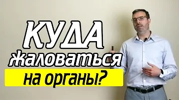 Как пожаловаться на человека без водительских прав