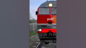 Always Look Both Ways when Crossing😱💀