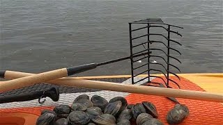 Clamming on Assateague Island MD | Catch And Cook  #clamming #stuffedclams #catchandcook