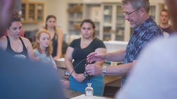 Exploring the Dynamic World of Environmental Science: A Student